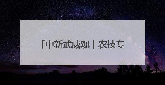 中新武威观｜农技专家田间地头“把脉开方”送“及时雨”